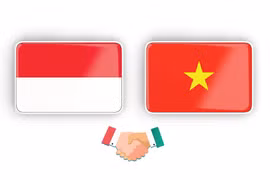 Vietnam-Indonesia strategic partnership