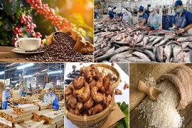 Agro-forestry-fishery trade surplus up nearly 2.9-fold