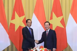 Vietnam, Indonesia Presidents hold talks