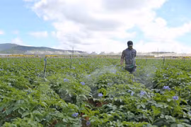 61 Central Highlands communes meet new rural area standards 