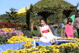 Da Lat flower festival kicks off with myriad of activities 