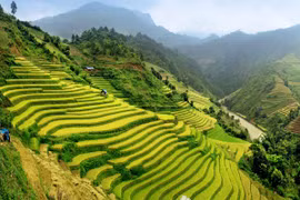 Vietnam among 20 best countries to visit