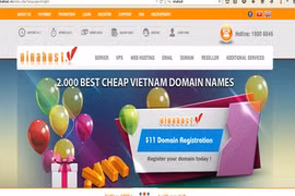 VN tops ASEAN with number of new domains 