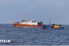 Authorities inspect operations of fishing vessels at sea (Photo: VNA)