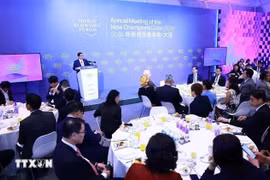Prime Minister Pham Minh Chinh addresses the dialogue (Photo: VNA)