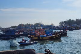 Ba Ria – Vung Tau tightens management over unregistered fishing vessels. (Photo: VNA)