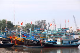 The install of a vessels monitoring system device have been made on all fishing vessels with a length of at least 15m (Photo: VNA)