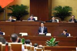 Minister of Natural Resources and Environment Dang Quoc Khanh speaks at the session. (Photo: VNA)
