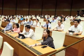 At the NA working session. (Photo: VNA)