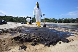 Workers clean up oil spills on Tanjong beach on Sentosa Island, Singapore, on June 16, 2024. (Photo: Xinhua/VNA)