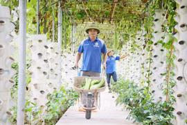 Bac Giang strives to raise agricultural production value