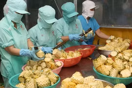 Japanese firms suggested pouring investments into agriculture