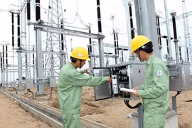 EVN earns 43.6 million USD from divestment