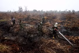 Indonesia deploys 25 aircraft to put out forest fires