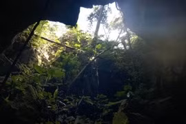  New cave discovered in Cha Noi forest