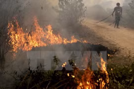 Haze makes over 300,000 Indonesians get sick