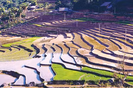 Mong village looks to become new Sapa