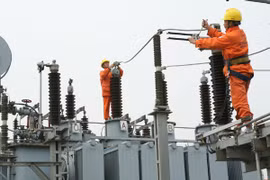  EVN promotes electricity network in southern region
