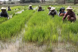 World Bank cuts Myanmar economic growth rate