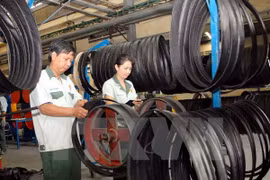 Binh Duong achieves over 2.5-billion-USD trade surplus