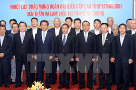 Vietnam, Japan localities talk ways to boost cooperation
