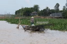 Mekong Delta faces water shortage