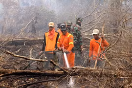 Indonesia sends soldiers to contain forest fires