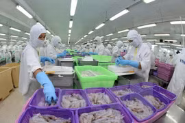 Vietnam, Egypt step up bilateral trade ties