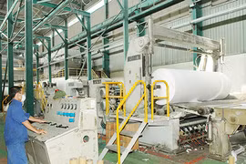 Enterprises busy with equitisation plans