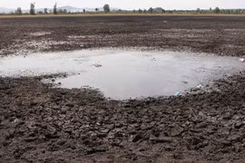 Water reserves in Central Highlands running low