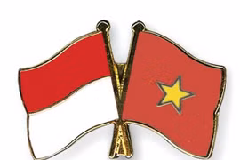 Vietnam, Indonesia forge stronger economic connections