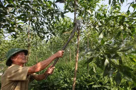  Preferential loans provided for households escaping poverty