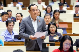 Deputy Nguyen Ngoc Son from Hai Duong province (Photo: VNA)
