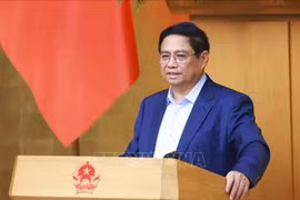 Prime Minister Pham Minh Chinh (Photo: VNA)