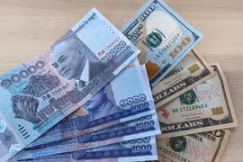 Cambodia announces new initiative to encourage use of local currency