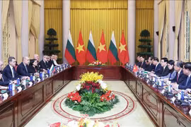 An overview of the talks between Vietnamese State President Luong Cuong and Bulgarian President Rumen Radev in Hanoi on November 25. (Photo: VNA)