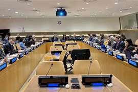 An overview of the briefing (Photo: VNA)
