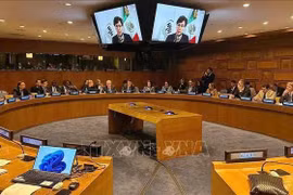An overview of the high-level event organised by the UN Office on Drugs and Crime (UNODC) on the occasion of the International Day for Prevention and Fighting All Forms of Transnational Organised Crime (November 15). (Photo: VNA)