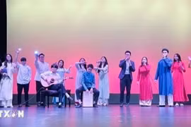 A performance at the Vietnam Culture Day 2024, recently held in Wellington capital city of New Zealand. (Photo: VNA)