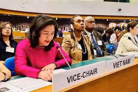 Deputy Minister of Labour, Invalids and Social Affairs Nguyen Thi Ha speaks at the conference (Photo: VNA)