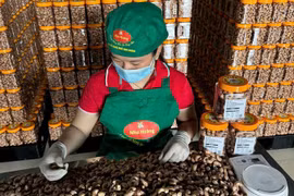 A worker packs salted roasted cashew products at an establishment in Tho Son commune, Bu Dang district, Binh Phuoc province. (Photo: VNA)