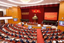 At the conference (Photo: VNA)