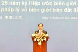 Deputy Prime Minister and Minister of Foreign Affairs Bui Thanh Son speaks at the event (Photo: VNA)