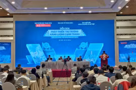 At the conference (Photo: VNA)