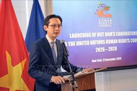 Deputy Minister of Foreign Affairs Do Hung Viet addresses the ceremony (Photo: VNA)