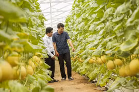 Vietnam promotes sustainable development of Halal industry