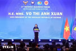 Vice State President of Vietnam Vo Thi Anh Xuan addresses the opening of the first Veterans Confederation of ASEAN Countries (VECONAC) Business Forum in Hanoi on October 25 (Photo: VNA)