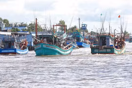Fishing vessels in Ca Mau (Photo: VNA)