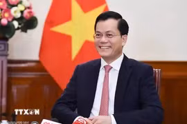 Deputy Minister of Foreign Affairs Ha Kim Ngoc (Photo: VNA)