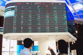 Investors monitor stock market developments at the Ho Chi Minh City Stock Exchange (HOSE). (Photo: VNA)